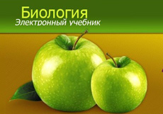 Электронный учебник